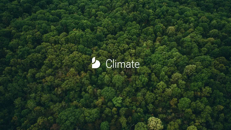Aerial view of a forest with the Blueforte logo mark and the word 'Climate' in the background.