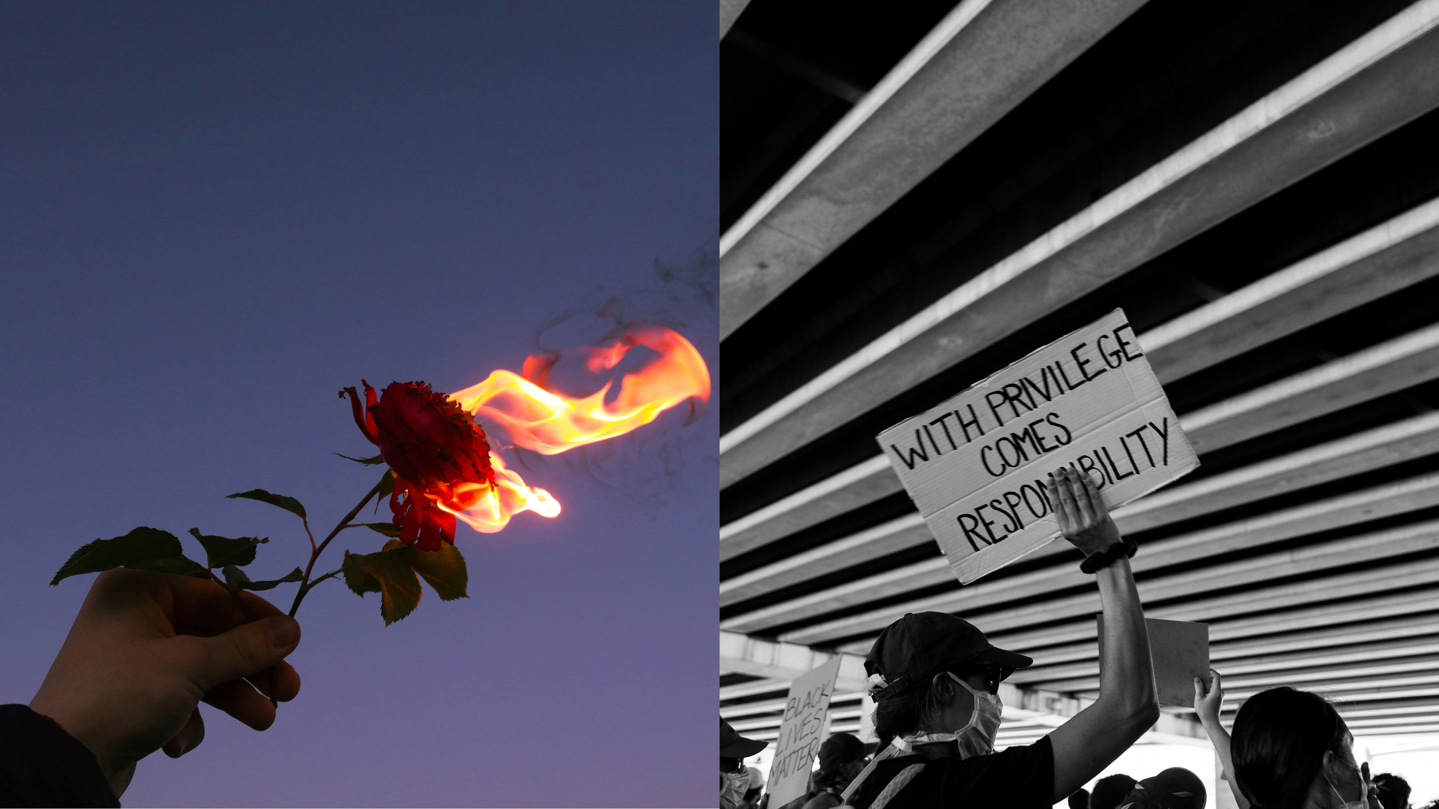 Zwei Bilder, Links eine brennende Rose, rechts eine Demonstration