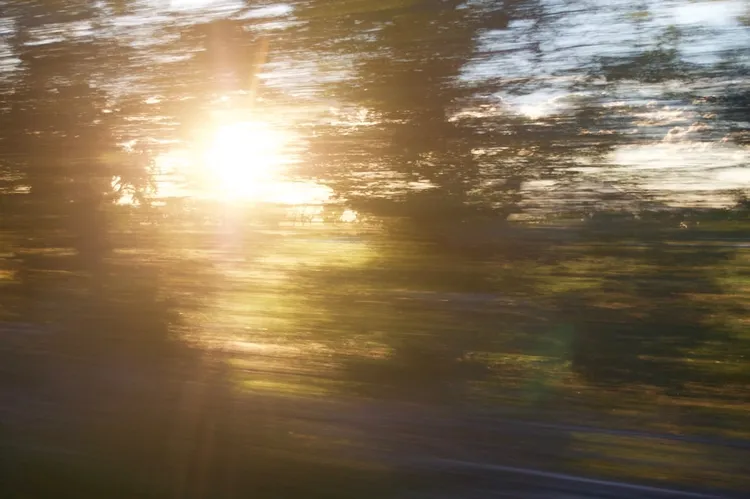Blurred image of trees with sunlight streaming through the foliage, showing motion blur in the foreground.