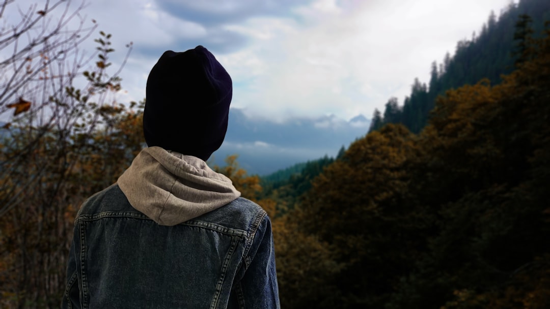 Unsplash image for green forest light