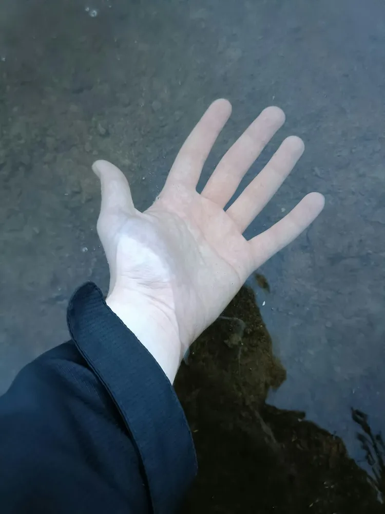 Unsplash image for hands passing printed report around table