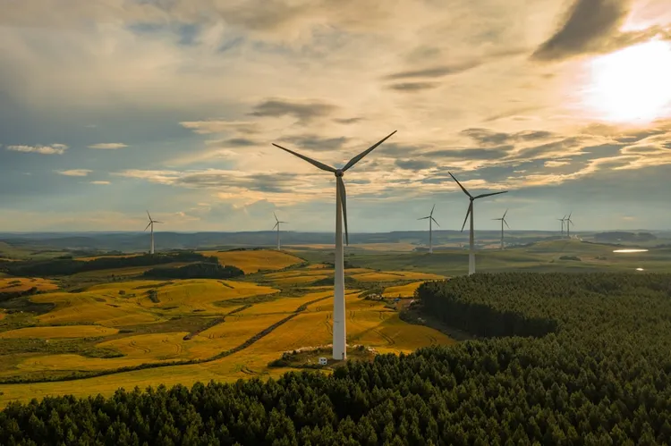 Unsplash image for Nachhaltige Websites: Wirkung, Messbarkeit, Umsetzung